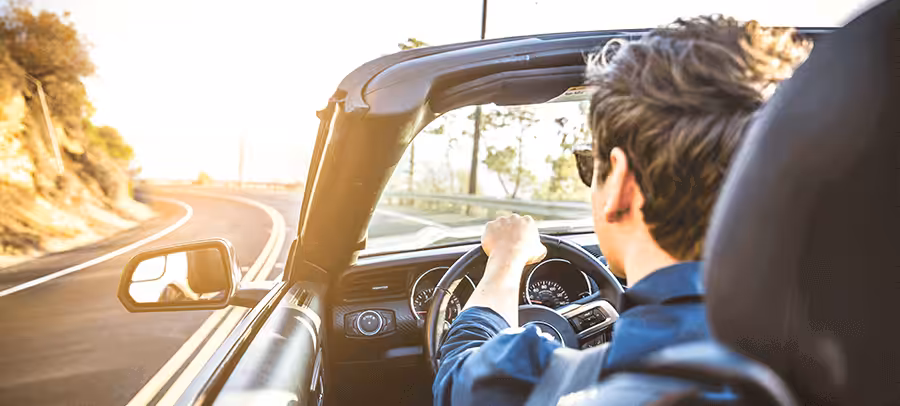 Car Rentals